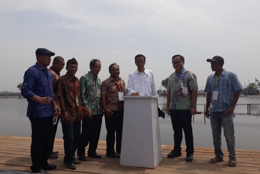 Presiden Joko Widodo mengunjungi revitalisasi tambak udang di Desa Bakti, Kecamatan Muara Gembong, Kabupaten Bekasi, Jawa Barat, Rabu (1/11).