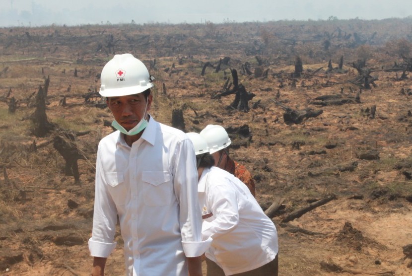 Presiden Joko Widodo meninjau lokasi bekas kebakaran lahan di desa Guntung Damar, Banjarbaru, Kalimantan Selatan, Rabu (23/9).