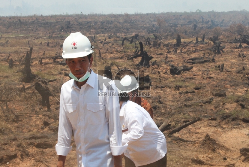 Presiden Joko Widodo meninjau lokasi bekas kebakaran lahan di desa Guntung Damar, Banjarbaru, Kalimantan Selatan, Rabu (23/9).ANTARA FOTO/Herry Murdy Hermawan