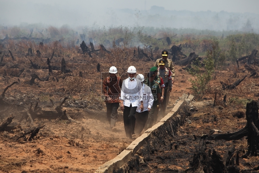 Presiden Joko Widodo meninjau lokasi bekas kebakaran lahan di desa Guntung Damar, Banjarbaru, Kalimantan Selatan, Rabu (23/9).ANTARA FOTO/Herry Murdy Hermawan