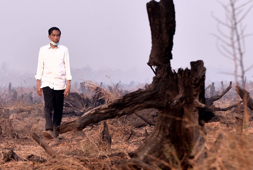 Presiden Joko Widodo meninjau lokasi kebakaran lahan di Kelurahan Guntung Payung, Kecamatan Landasan Ulin, Banjarbaru, Kalsel, Rabu (23/9).