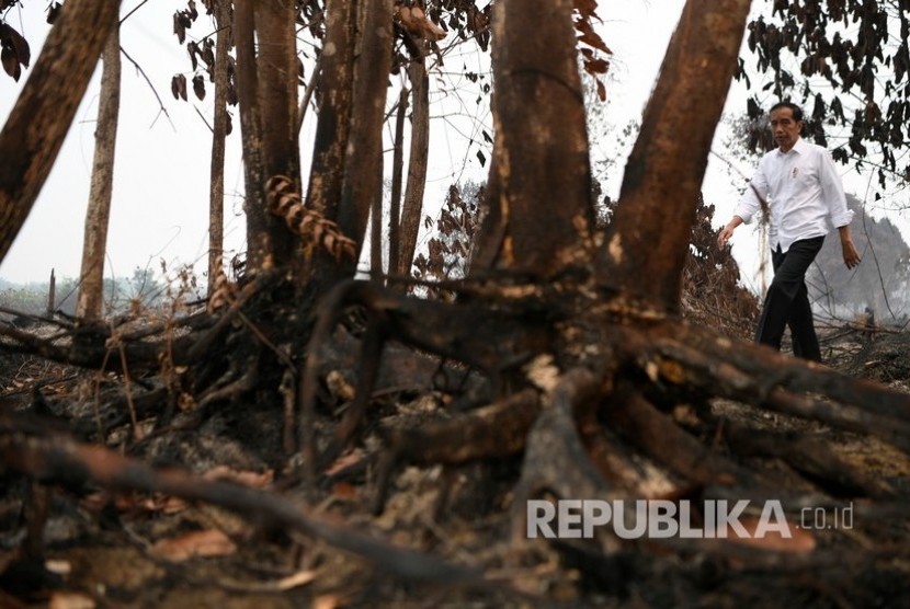 Presiden Joko Widodo meninjau penanganan kebakaran hutan dan lahan di Desa Merbau, Kecamatan Bunut, Pelalawan, Riau, Selasa (17/9/2019).