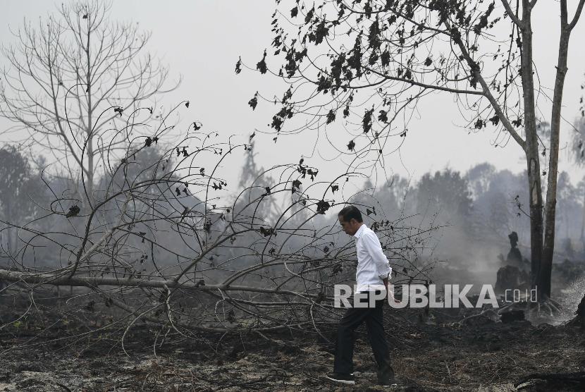 Presiden Joko Widodo meninjau penanganan kebakaran hutan dan lahan di Desa Merbau, Kecamatan Bunut, Pelalawan, Riau, Selasa (17/9/2019).