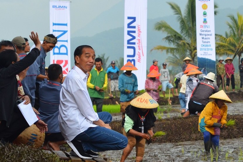 Presiden Joko Widodo meninjau petani menanam padi pada Gerakan Mengawal Musim Tanam (GMMT) Oktober-Maret (OKMAR) 2018/2019 di Desa Leuwigoong, Kabupaten Garut, Jawa Barat, Sabtu (19/1/2019). 