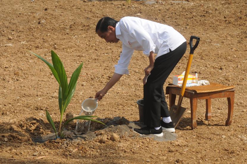 Menteri Pertanian Syahrul Yasin Limpo (Mentan SYL) menegaskan, pengembangan kelapa genjah nasional merupakan program atas arahan Presiden Jokowi, (ilustrasi).