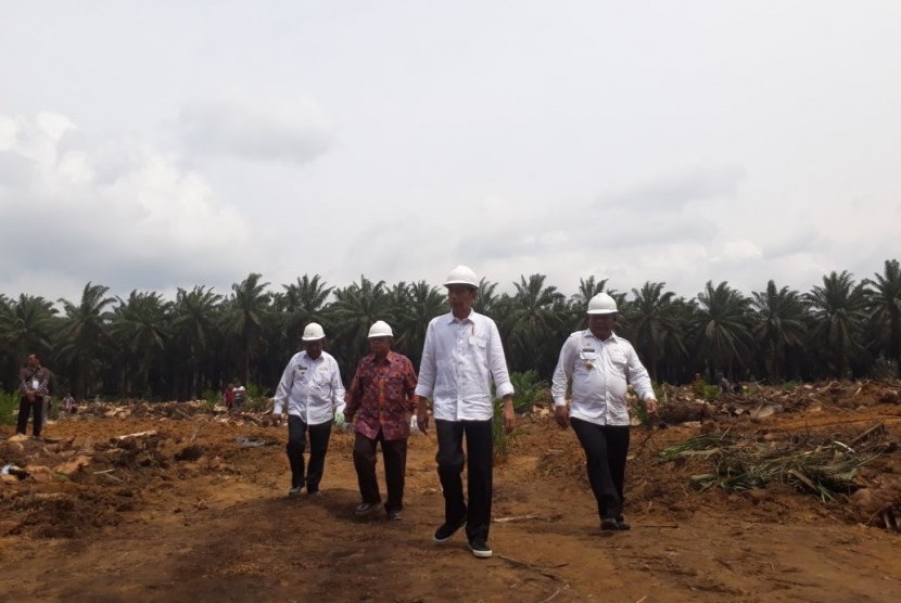 Presiden Joko Widodo meresmikan secara langsung peremajaan perkebunan kelapa sawit, di Kabupaten Rokan Hilir, Rabu (9/5). 