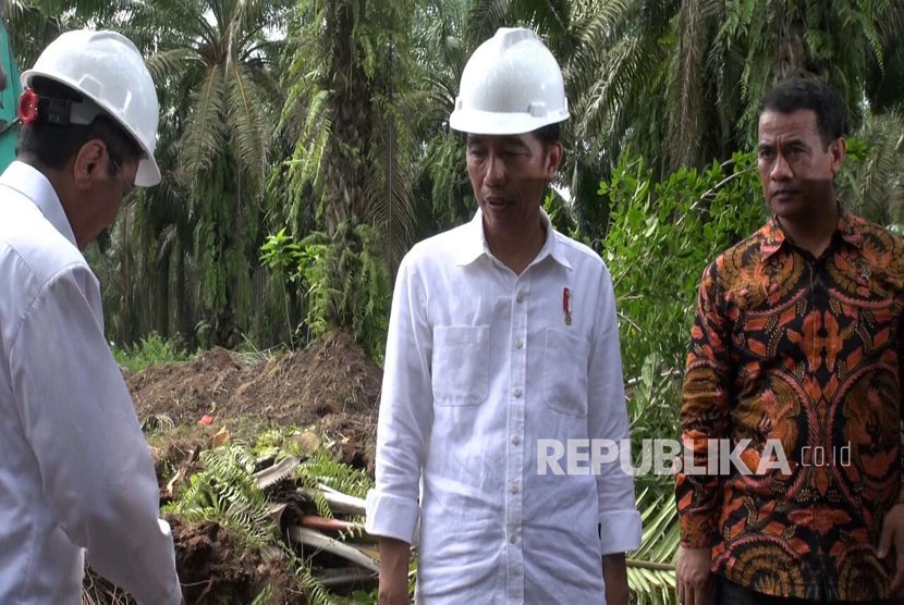 Presiden Joko Widodo saat meninjau kebun kelapa sawit rakyat di Serdang Bedagai, Sumut, Senin (27/11). Jokowi meresmikan program peremajaan sawit rakyat seluas sekitar 9 ribu hektar di Sumut.