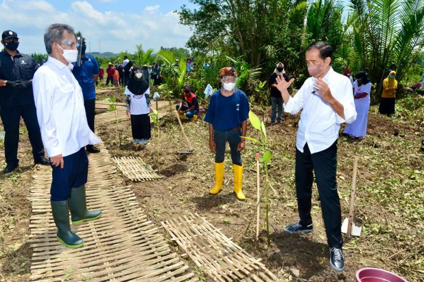 Presiden Joko Widodo saat penanaman mangrove di Kabupaten Cilacap. (Dok. Kolak Sekancil)
