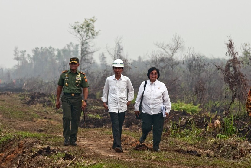 Presiden Joko Widodo (tengah) bersama Panglima TNI Jenderal Gatot Nurmantyo dan Menteri Lingkungan Hidup dan Kehutanan Siti Nurbaya saat meninjau penanganan kebakaran lahan di Desa Rimbo Panjang Kabupaten Kampar, Riau, Jumat (9/10). (Antara/FB Anggoro)