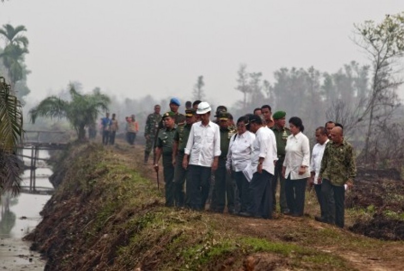 Presiden Joko Widodo (tengah) bersama sejumlah menteri dan pejabat daerah meninjau penanganan kebakaran lahan di Desa Rimbo Panjang Kabupaten Kampar, Riau, Jumat (9/10). 