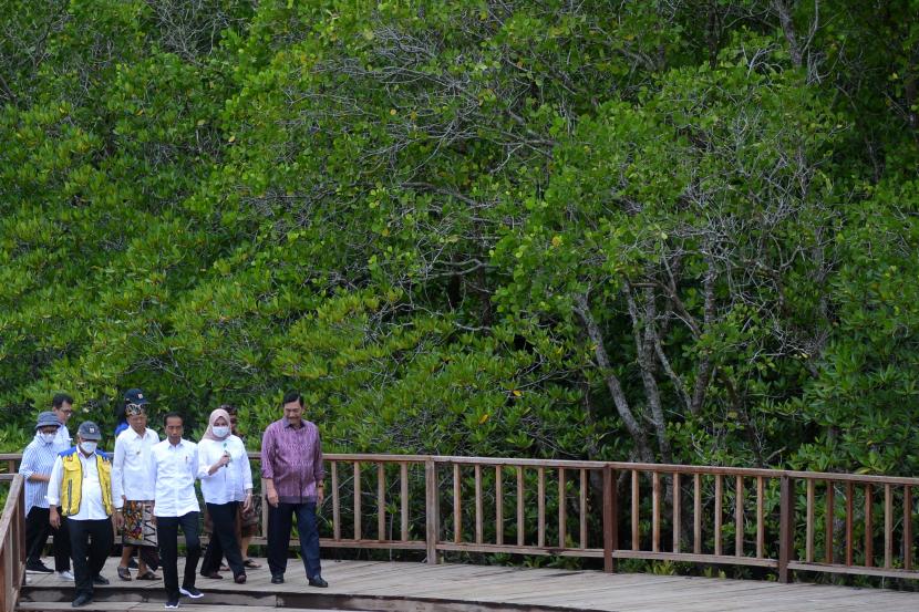Presiden Joko Widodo (tengah) didampingi Menko Bidang Kemaritiman dan Investasi Luhut Binsar Pandjaitan (kanan), Menteri Pekerjaan Umum dan Perumahan Rakyat (PUPR) Basuki Hadimuljono (ketiga kiri), Menteri Luar Negeri Retno Marsudi (kiri), Gubernur Bali Wayan Koster (keempat kiri) dan Koordinator Tim Asistensi dan Kemitraan Kepanitiaan Nasional Presidensi G20 Wishnutama Kusubandio (kedua kiri) meninjau kawasan mangrove Taman Hutan Raya (Tahura) Ngurah Rai, Denpasar, Bali, Kamis (6/10/2022). Menteri PUPR mengatakan penataan Kawasan Mangrove Tahura Bali mencapai 84 persen.