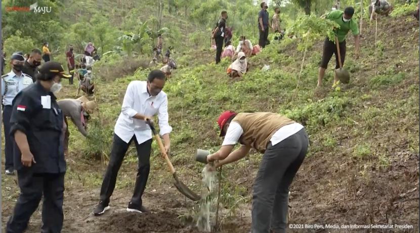 Presiden Joko Widodo (tengah) melakukan penanaman pohon kayu putih di Kawasan Hutan Gunung Pepe, Lombok Tengah,  Nusa Tenggara Barat, Sabtu (13/11).. 