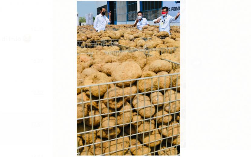 Presiden Joko Widodo terus mendorong agar porang  menjadi komoditas pertanian yang diekspor dan andalan baru sumber pangan di Tanah Air.