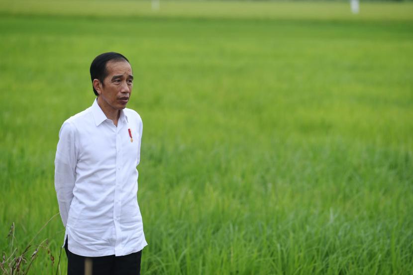 Presiden Joko Widodo mengundang sejumlah selebritas ke Istana Merdeka, Jakarta, Selasa (14/7).