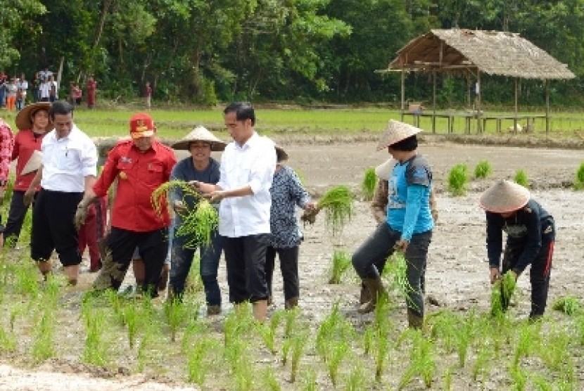 Presiden Jokowi.