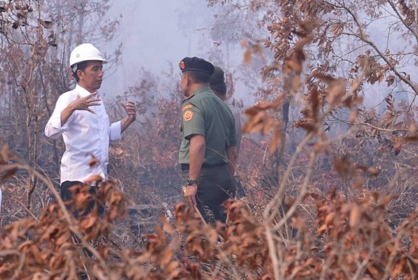 Presiden Jokowi berbincang dengan Panglima TNI Jenderal Gatot Nurmantyo saat meninjau lokasi kebakaran hutan di OKI, Sumsel.
