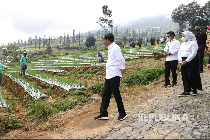  Pemerataan Infrastruktur Era Jokowi Dinilai Pacu Kemajuan Sampai Ke Pelosok Desa. Foto:  Presiden Jokowi dan Menteri Pertanian Syahrul Yasin Limpo meninjau penanaman bawang merah di Desa Bansari, Kabupaten Temanggung, Jawa Tengah, Selasa (14/12/2021).
