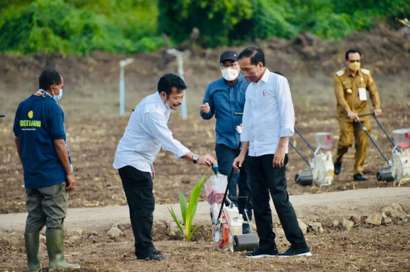 Presiden Jokowi didampingi Menteri Pertanian Syahrul Yasin Limpo (Mentan SYL) meninjau lahan food estate dengan menggunakan teknologi pertanian modern di Kabupaten Belu, NTT, beberapa waktu lalu.