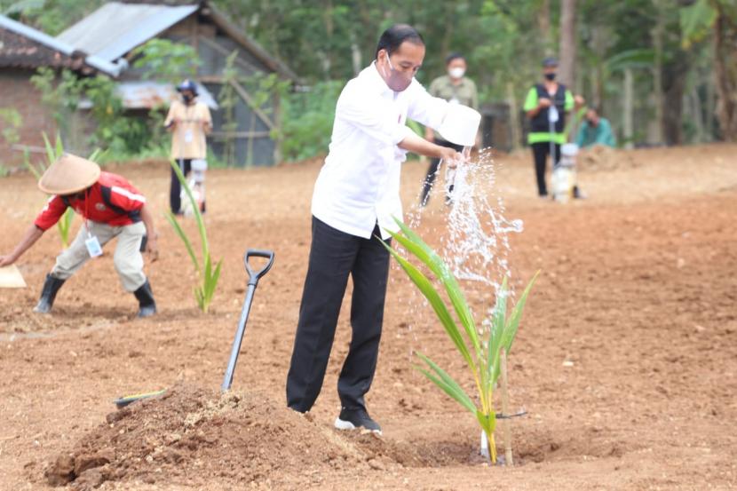 Presiden Jokowi melakukan tanam kelapa genjah di Solo Raya yakni Sukoharjo, Boyolali, dan Karanganyar guna mencanangkan penanaman kelapa genjah 1 juta batang se Indonesia.
