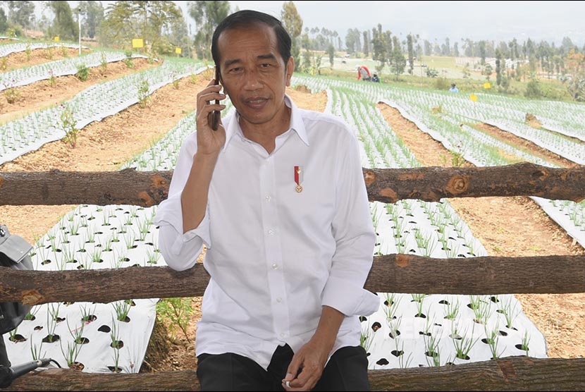 Presiden Jokowi/ Ilustrasi.  