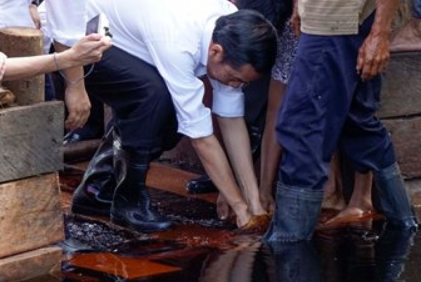 Presiden Jokowi mengecek kondisi lahan gambut Riau