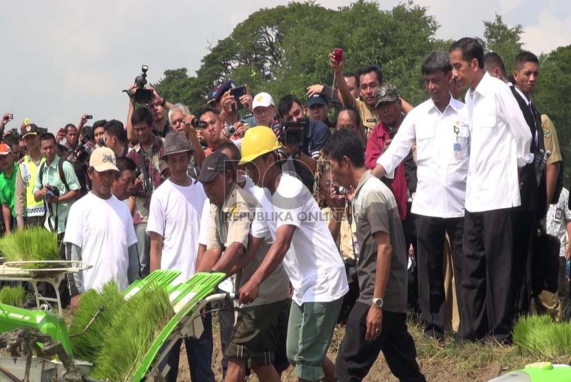 Presiden Jokowi menyaksikan panen musim tanam rendem 2014/2015 dan tanam musim gadu 2015 dengan menggunakan mesin, di Desa Kedokangabus, KEcamatan Gabuswetan, Kabupaten Indramayu, Rabu (18/3).