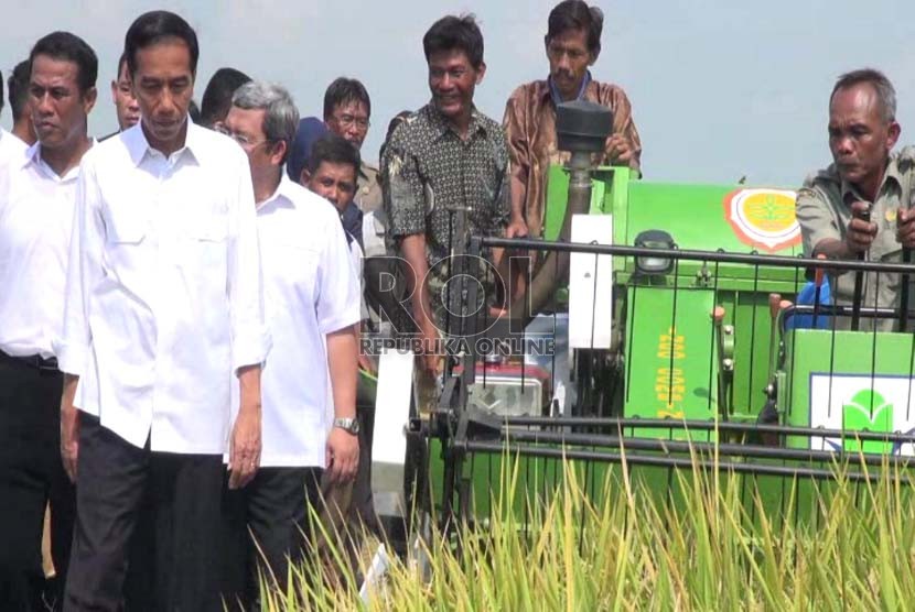 Presiden Jokowi menyaksikan panen musim tanam 2021, di Kabupaten Indramayu.