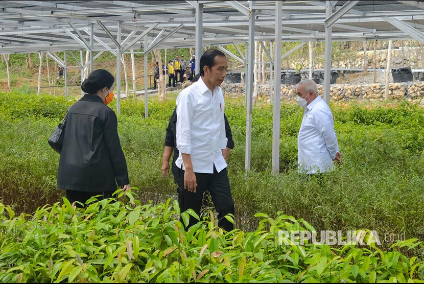 Presiden Republik Indonesia Joko Widodo bersama Ketua DPR, Puan Maharani mengunjungi Persemaian Mentawir di Kawasan Ibu Kota Nusantara, Penajem Pasar Utara, Kaltim, Rabu (22/6).
