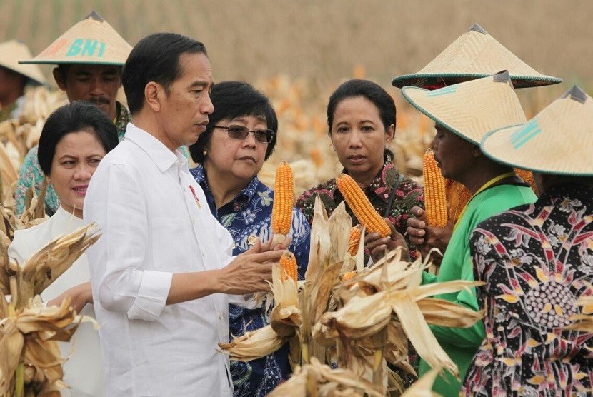 Presiden serahkan 13 SK perhutanan sosial seluas 8.975 hektare.