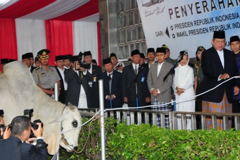 Presiden Susilo Bambang Yudhoyono menyerahkan sapi kurban ke pengurus Masjid Istiqlal Jakarta usai salat Iedul Adha 1432 lalu