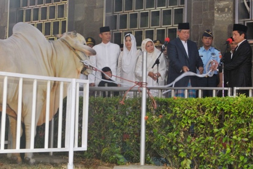 Presiden Susilo Bambang Yudhoyono saat menyerahkan hewan kurban sapi Ongole, di Masjid Istiqlal, Jakarta, Jumat (26/10).