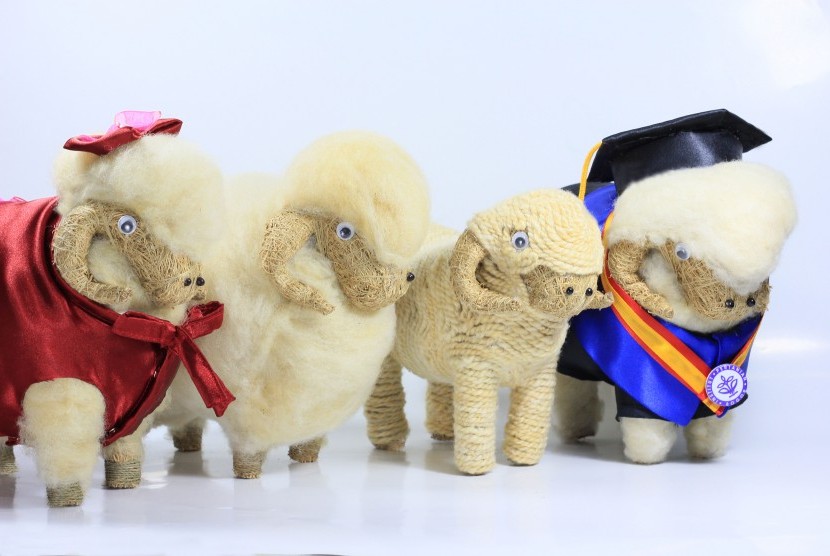 Usaha Kreatif Boneka  Bulu Domba Wangi  Hasilnya Puluhan 