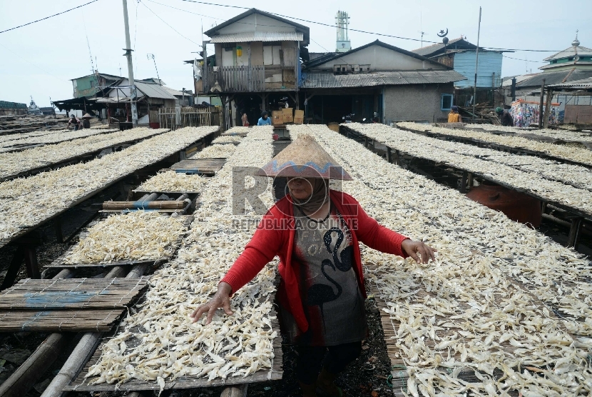 Nelayan menjemur ikan asin di kampung nelayan Cilincing, Jakarta Utara, Senin (9/3).  (Republika/ Yasin Habibi)