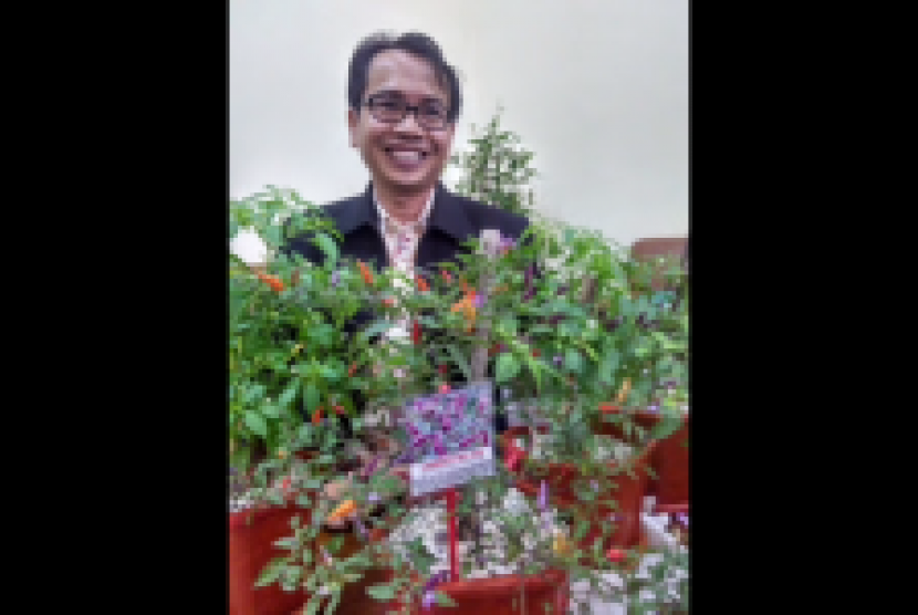 Prof Muhammad Syukur, peneliti cabai dari IPB Bogor.