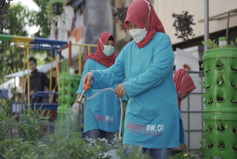 Program BRI Peduli Woman Comuni-Tree berupa pemberian bantuan urban farming bagi kelompok PKK, Kelompok Usaha Wanita atau Kelompok wanita yang tersebar di 18 wilayah di Indonesia. Secara keseluruhan total bantuan untuk kegiatan urban farming BRI tercatat sebesar Rp 1,8 miliar.