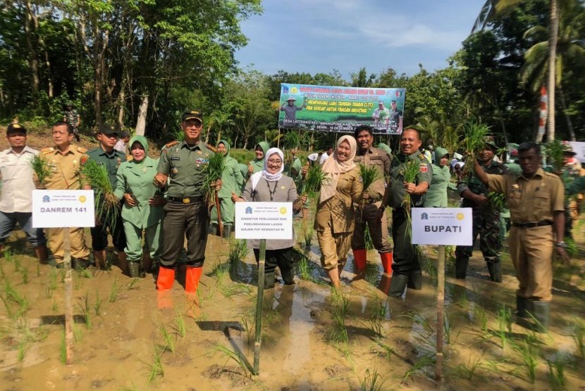 Program cetak sawah Kementerian Pertanian di Desa Latteko, Kecamatan Awangpone, Kabupaten Bone, Sulawesi Selatan, yang berhasil ditanami, Senin (10/12).