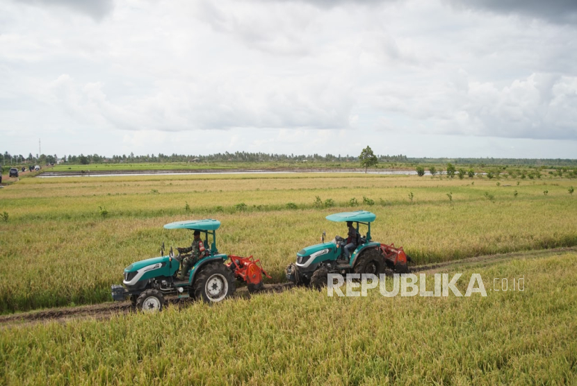 Cetak Sawah Rakyat dan Oplah Tingkatkan Produksi dan Stabilkan Harga Beras di Merauke