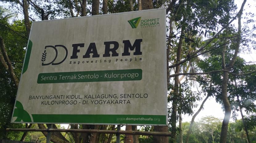 Program DD Farm di Kulonprogo, Yogyakarta, berupaya menghadirkan perusahan sosial (social enterprise)) di wilayah tersebut. (ilustrasi)
