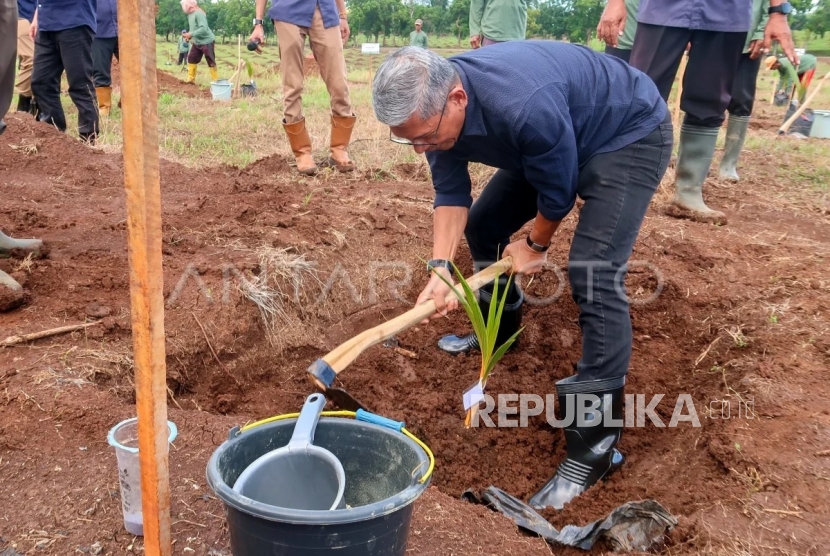 Mendorong Hilirisasi untuk Menggenjot Kesejahteraan Petani Lokal