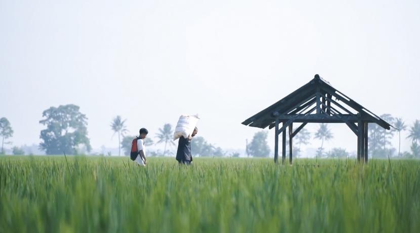 Petani di Jawa Timur mengaku terbantu dengan sejumlah program yang digilirkan Kementerian Pertanian. (ilustrasi).