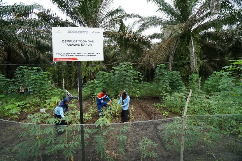 Program kesejahteraan masyarakat yang digagas PT Pertamina Hulu Energi (PHE) Jambi Merang.