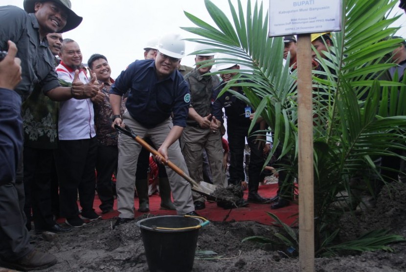 Program peremajaan atau replanting kelapa sawit yang diinisiasi Bupati Muba Dodi Reza.