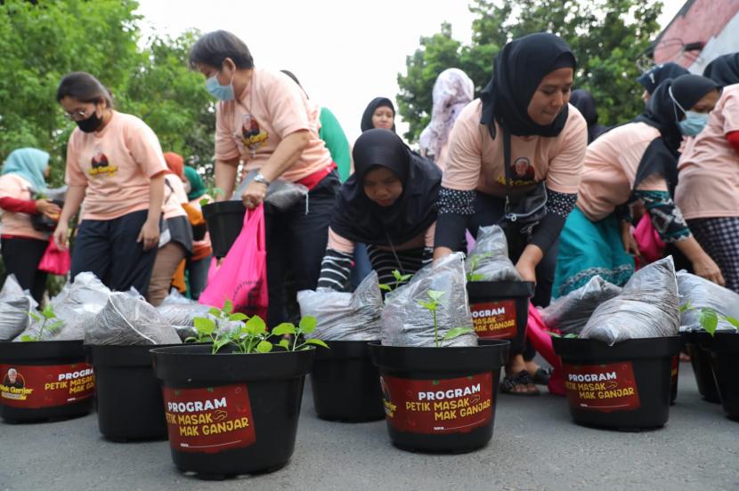 Program Petik Masak Budidaya Pohon Cabai dalam rangka mendorong ketahanan pangan di DKI Jakarta. Program ini digelar di Kelurahan Meruya, Kecamatan Kembangan, Jakarta Barat. 