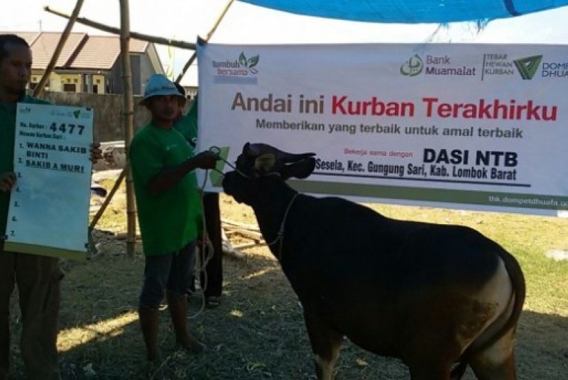 program tebar hewan kurban (thk) dompet dhuafa menembus hingga lombok barat, nusa tenggara barat