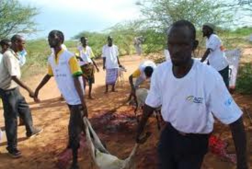 Program tebar kurban ACT di Somalia. Tahun ini ACT akan mendistribusikan daging kurban ke 43 negara.