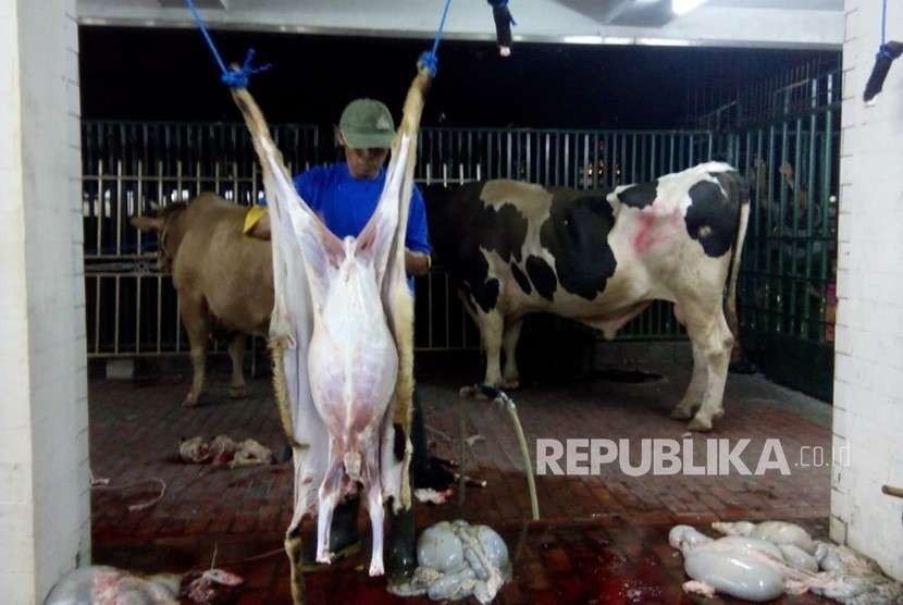 Proses penyembelihan dan pemotongan hewan kurban di Rumah Pemotongan Hewan Masjid Istiqlal, Jakarta Pusat, Rabu (22/8).