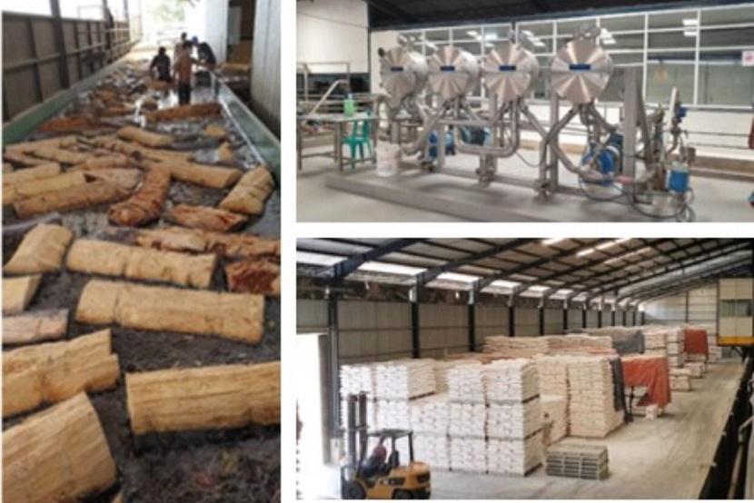 Proses produksi sagu rumbia menjadi mie instan bebas gluten di fasilitas produksi PT Langit Bumi Lestari.  