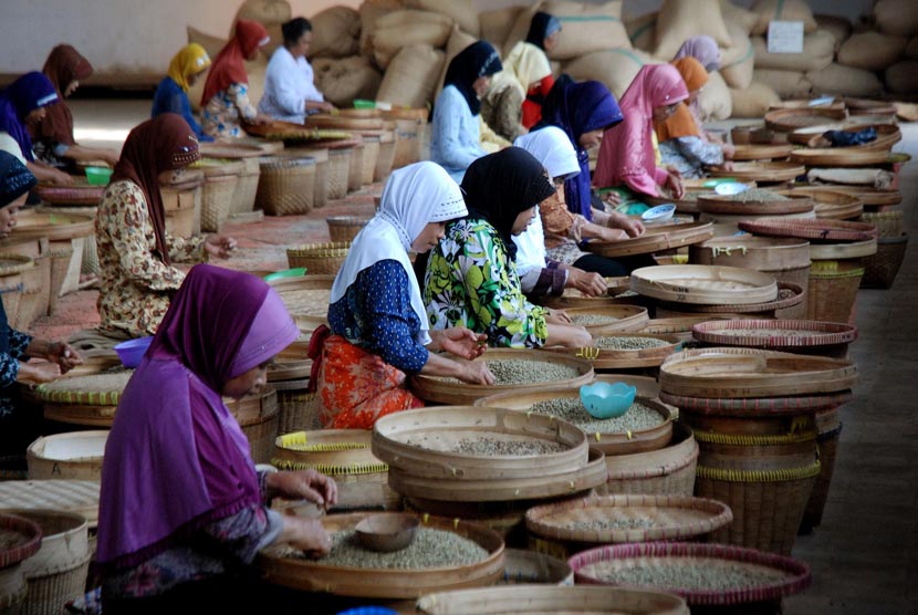 Proses sortir biji kopi kering berlangsung di salah satu sudut Pabrik Kopi yang ada di Indonesia (ilustrasi)