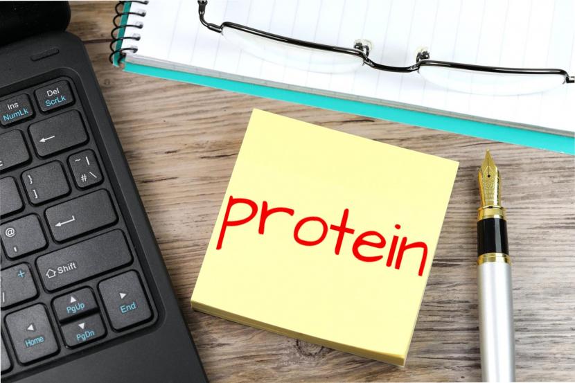 Salah satu gizi yang paling dibutuhkan tubuh adalah protein (Foto: ilustrasi)