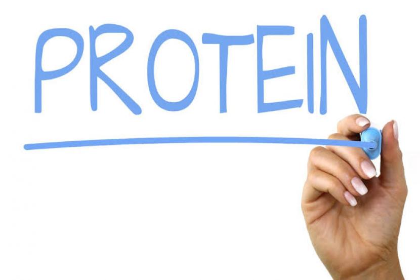 Protein (ilustrasi)